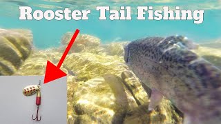 Rooster Tail Fishing For Trout: How To Catch Rainbow Trout On Rooster Tail Lure | SFSC