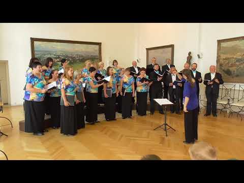 Vokál Přerov - Doamne buzele mele