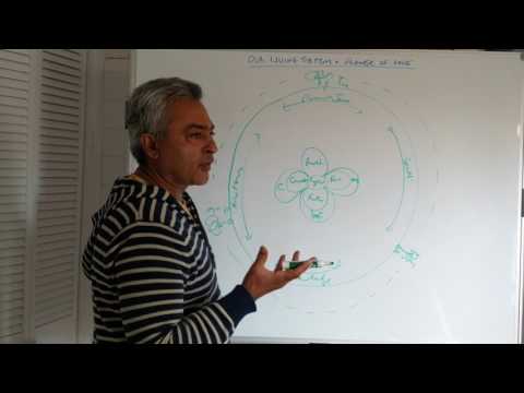 Our Living System:  The Flower of Love