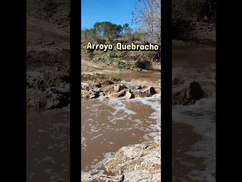Arroyo Quebracho, Entre Ríos #rio #naturaleza #campo #entrerios #argentina