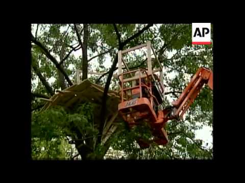 Japanese artist creates tree houses in Madison Square Park