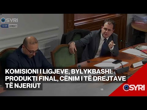 Komisioni i Ligjeve, Bylykbashi: Produkti final, cënim i të drejtave të njeriut