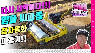 양파 씨파종 장자동화 파종기 양파농사 귀농 형씨네