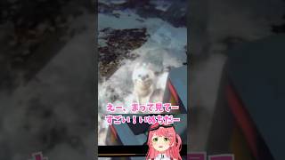 【一瞬で地獄】癒しだと思った瞬間に全てが変わるｗ【さくらみこ ホロライブ切り抜き】