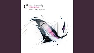 Lost in the Tropics (Matthias Tanzmann Remix)