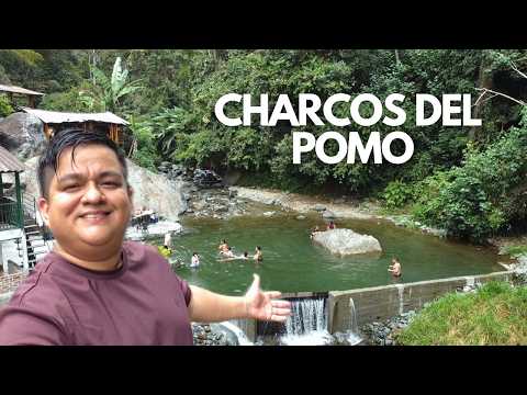 Charcos del Pomo | ¡El mejor parche en CERRITO que debes visitar!