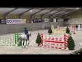 Springpaard, ruin, 10 j, lief karakter