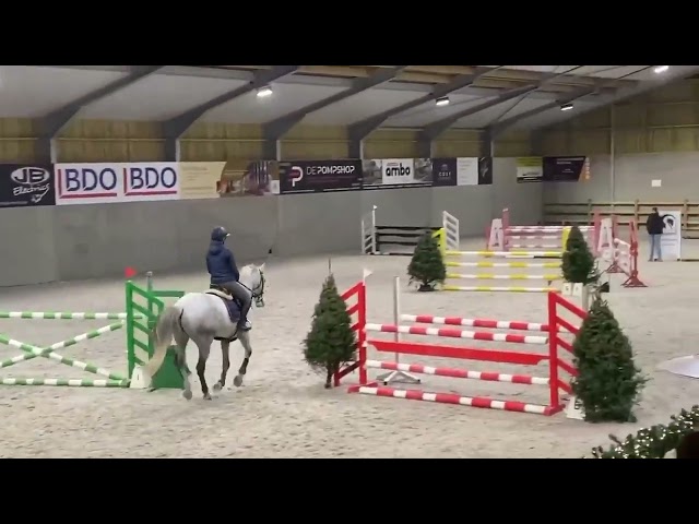 Springpaard, ruin, 10 j, lief karakter