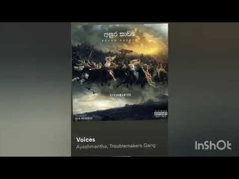 VOICES | Troublemakers Gang