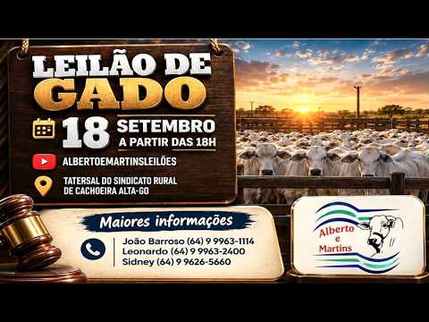 LEILÃO ALBERTO e MARTINS 18/09/2026 AS 18:00 hs em Cachoeira Alta Go.