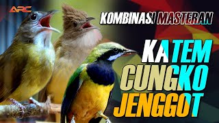 KOMBINASI MASTERAN PALING MEWAH 2025