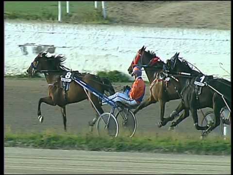 Trotto 13/03/2016 - 5° corsa