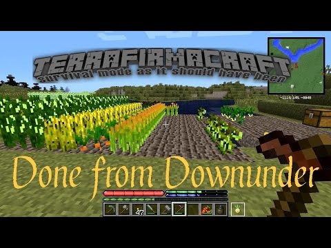 TerraFirmaCraft | Done from Downunder - 11. Harvest and Forge
