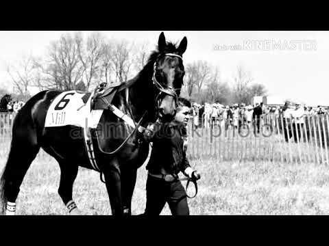 Rest In Peace Champion Viewed!!!