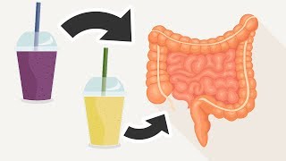 2 Smoothies That Will Naturally Cleanse Your Colon and Flush Excess Toxins