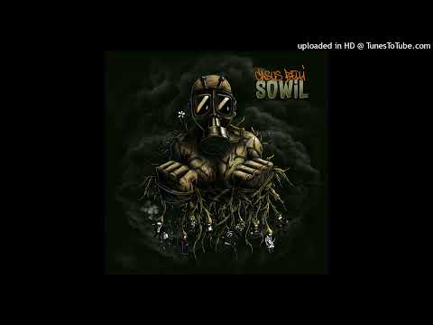 Sowil - Fou malade (cut. Dj G High Djo)