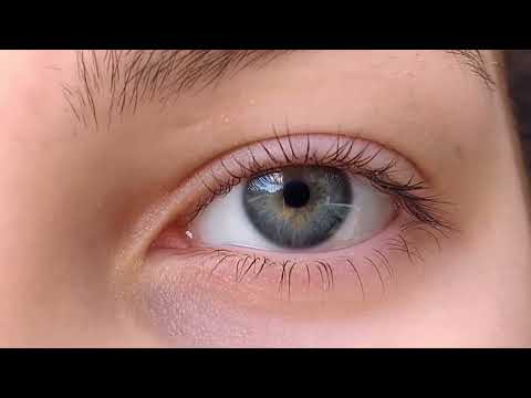 Fucktor Reunion - Jutro ( OFFICIAL VIDEO ) 2023