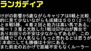 【中山金杯2019】　予想と見解