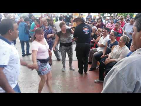 Las Maracas de cuba / Trio Matamoros