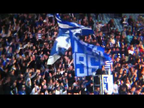 1.FC Magdeburg - FSV Zwickau