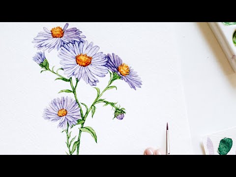Aster watercolor painting from my Watercolor Flowers Sketchbook✨Flower painting ideas