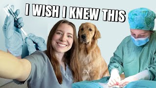 THE TRUTH ABOUT BEING A VET: 5 things I learned in my first year as a new grad vet 🐾