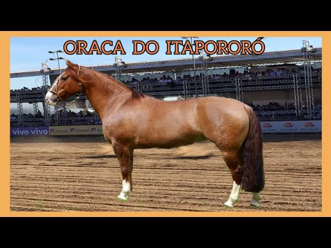 ORACA DO ITAPORORÓ