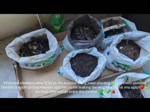 🇨🇦How I grow my own organic veggies & herbs in Canada + Garden updates early 🌼🌱