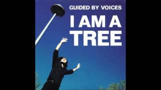 guided by voices - do they teach you the chase