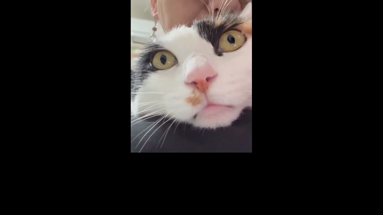 留守の間、ずっと待ち続けてくれるくーちゃんが愛おしすぎます。