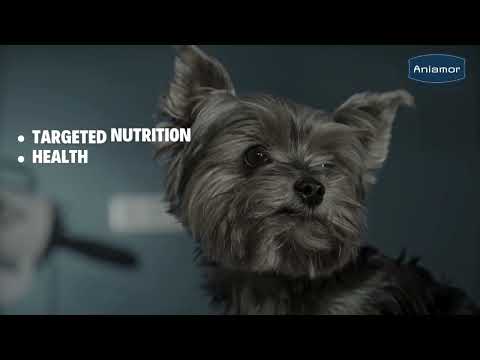 Dry Pet Food Chicken Meal Fortified With Multivitamin - Aniamor
