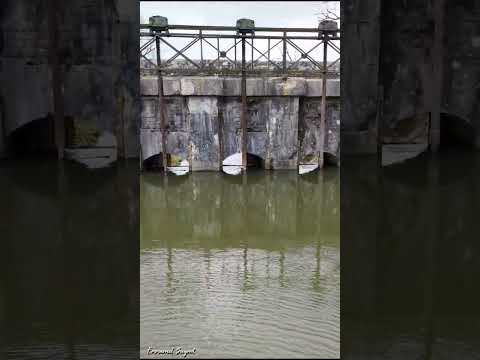 Étang du Puits 45620 Cerdon