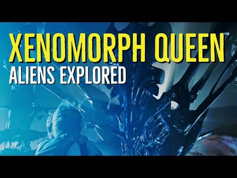 Xenomorph Queen (Aliens Explored)