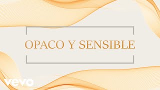 Opaco Y Sensible Lyrics English Translation