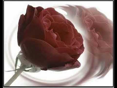 Muhammed Ali - Göster Bize Muhammedi Görelim