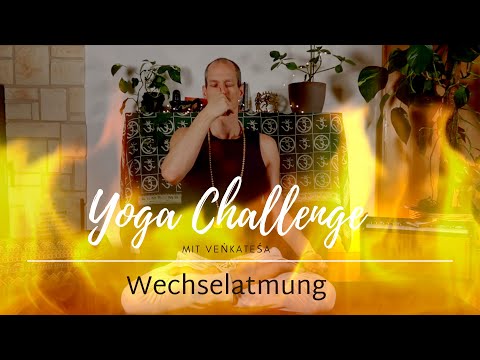 Yoga Challenge - Wechselatmung (anuloma viloma) mit Venkatesha - Yoga für Fortgeschrittene