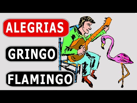 Alegrias solo - Gringo flamingo