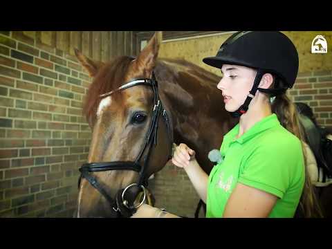 Rebecca's tips for beginner riders: saddling and bridling horses