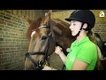 Rebecca S Tips For Beginner Riders Saddling And Bridling Horses