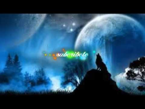 Lobo aullando-efecto de sonido