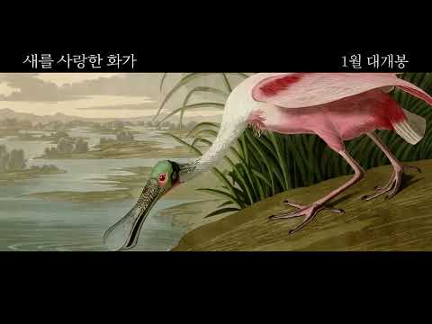 새를 사랑한 화가 메인 예고편 예고편