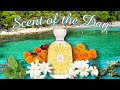 SOTD: Nuda Veritas by Atelier Des Ors, a light and creamy tropical floral 💛🤍💙