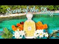 SOTD: Nuda Veritas by Atelier Des Ors, a light and creamy tropical floral 💛🤍💙