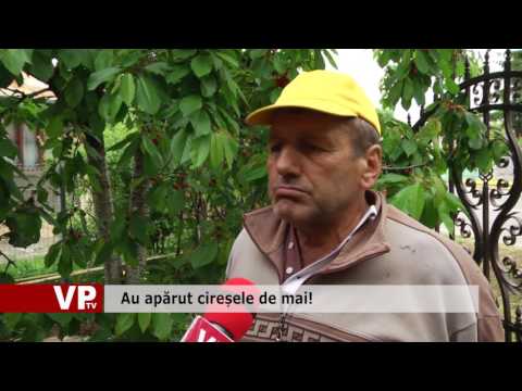 Au apărut cireșele de mai!