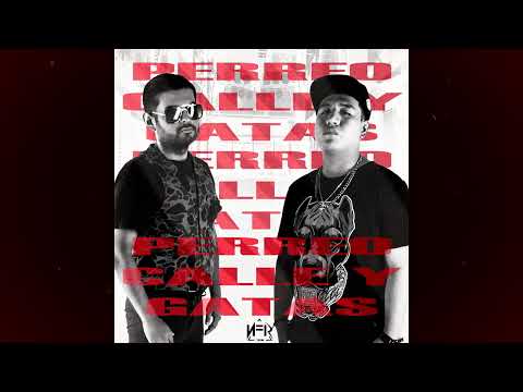 Perreo, Calle y Gatas - MitchelAngel x Tavo El Rayo x Snech Beats