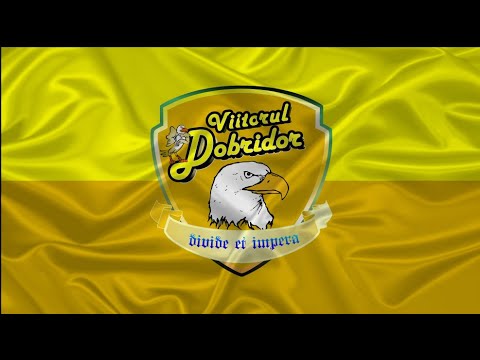 IMN VIITORUL DOBRIDOR