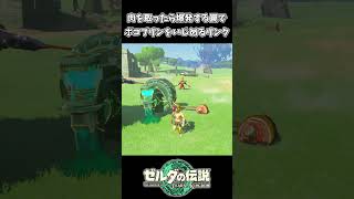 ボコブリンが肉を取ったら爆発する罠を作ったリンクｗｗ【ゼルダの伝説 ティアーズ オブ ザ キングダム】