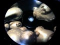 Sven Väth - The Birth Of Robby - Part 1.