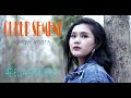 DJ KENTRUNG SANTUY CUKUP SEMENE ABELIA SHAVERA OFFICIAL VIDEO MUSIC