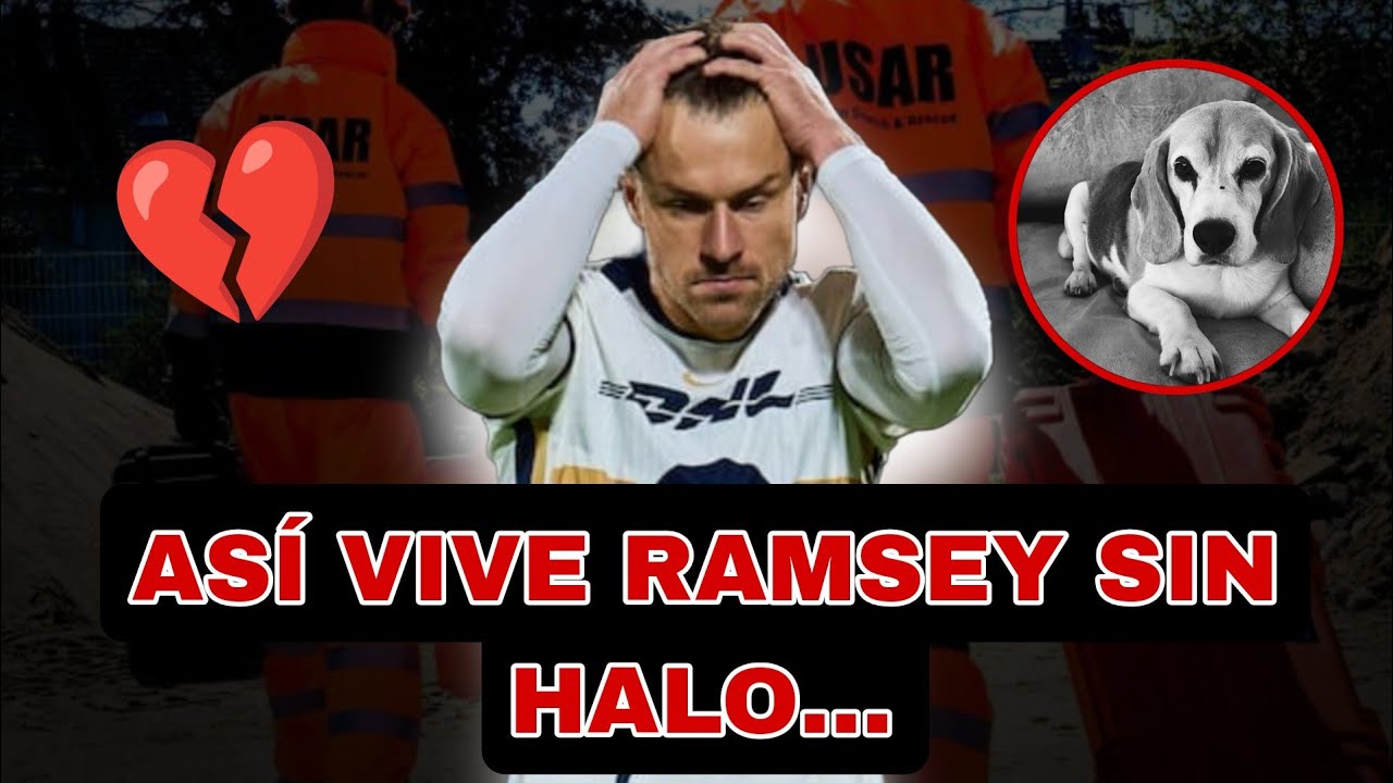 💔 La desgarradora historia de Aaron Ramsey y la desaparición de su perrita Halo en México 😭